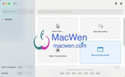 MacWhisper 界面